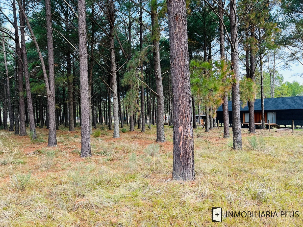Terreno ID.710 - Venta de Chacras del Pinar 2.000 m2 en Barrio semi privado con un Club House C710B