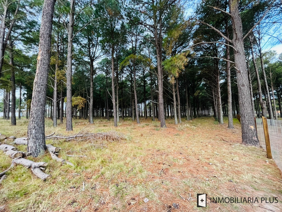 Terreno ID.710 - Venta de Chacras del Pinar 2.000 m2 en Barrio semi privado con un Club House C710B