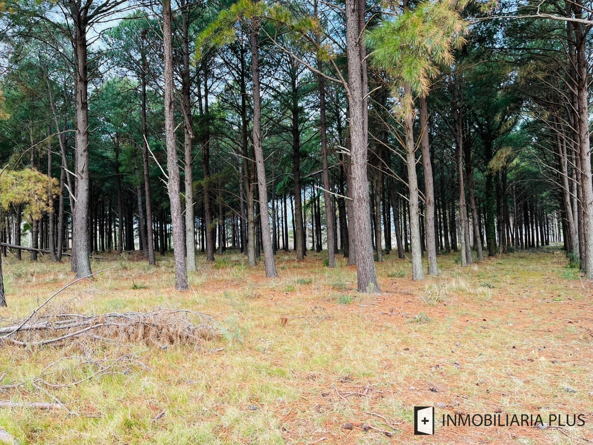 Terreno ID.710 - Venta de Chacras del Pinar 2.000 m2 en Barrio semi privado con un Club House C710B