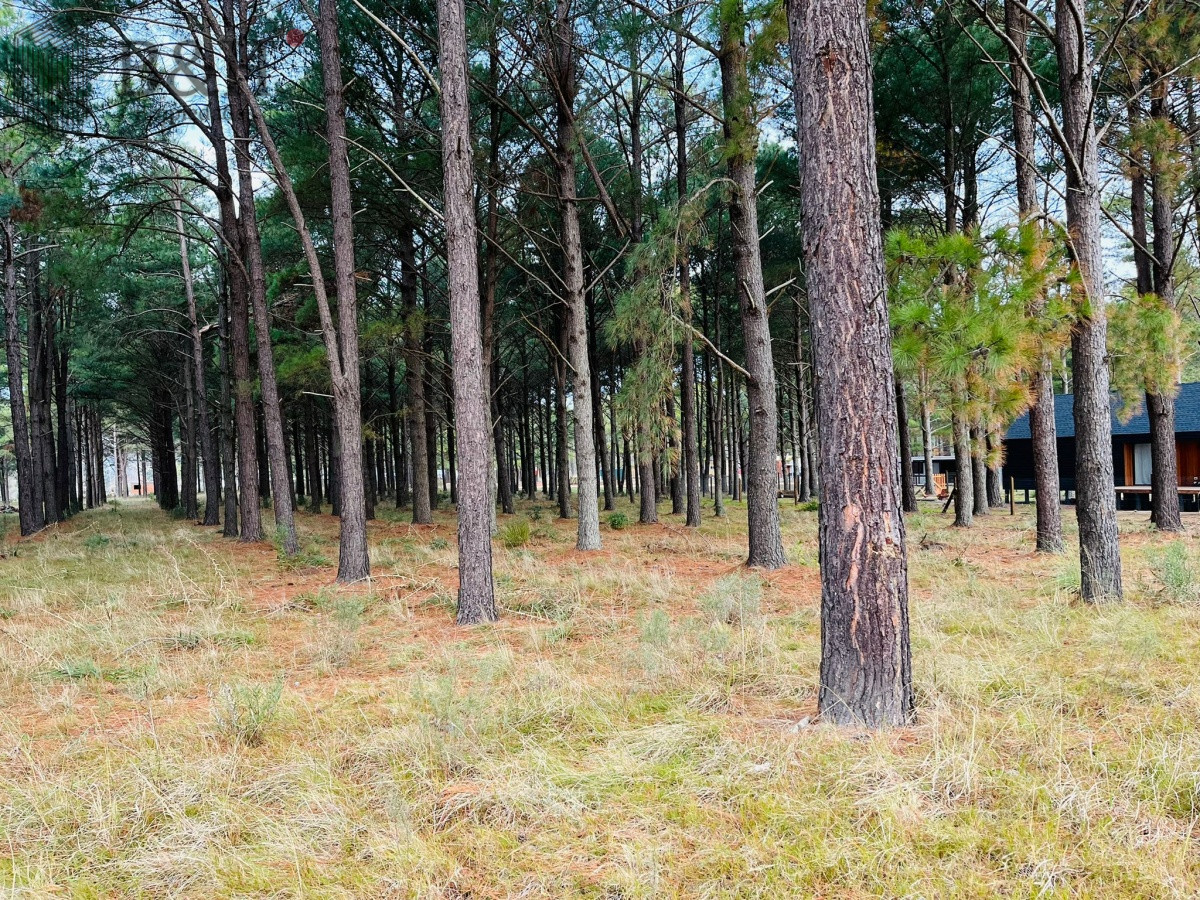 Pinares - GoPunta - Portal Inmobiliario de Punta del Este - Maldonado