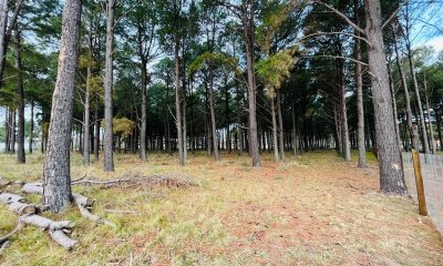 Terreno en Chacras del Pinar - 2000m2