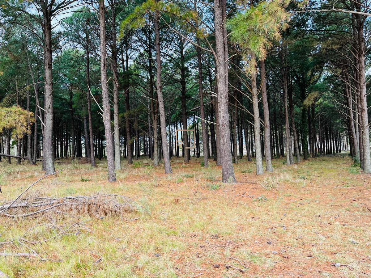 Terreno ID.36 - Chacras del Pinar 