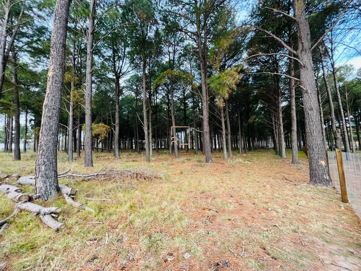 Terreno ID.36 - Chacras del Pinar 