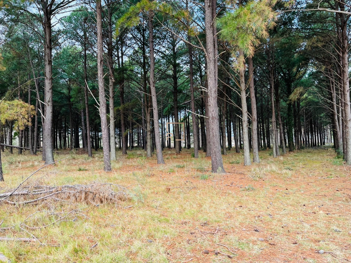 Terreno ID.36 - Chacras del Pinar 