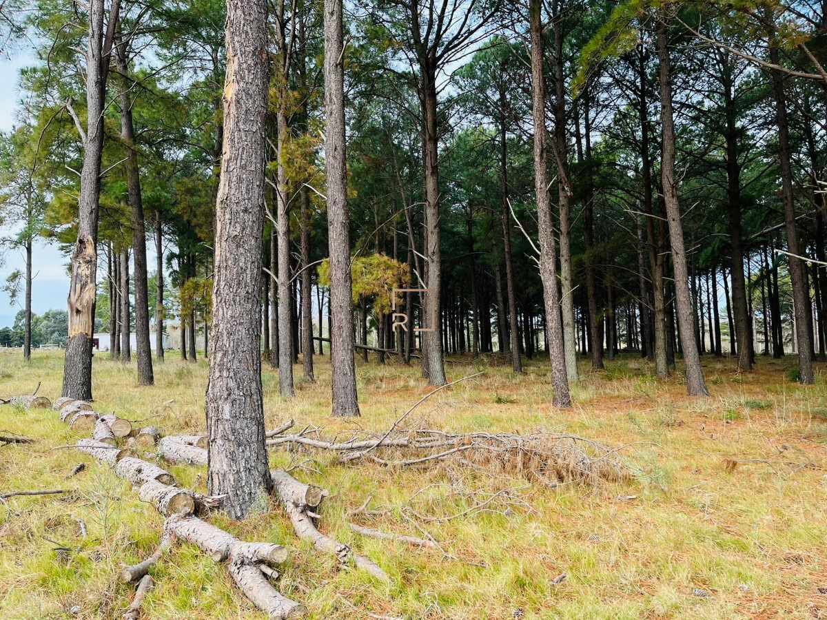 Terreno ID.36 - Chacras del Pinar 
