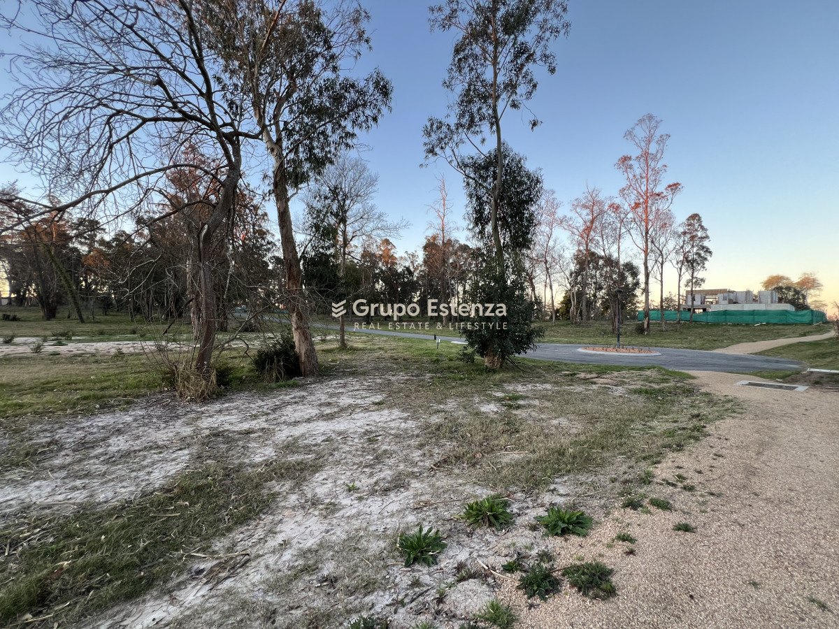 Distrito 52 - GoPunta - Portal Inmobiliario de Punta del Este - Maldonado