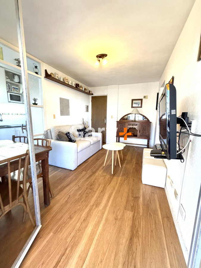 Apartamento ID.29379 - Un dormitorio en venta con gran terraza en Peninsula. 