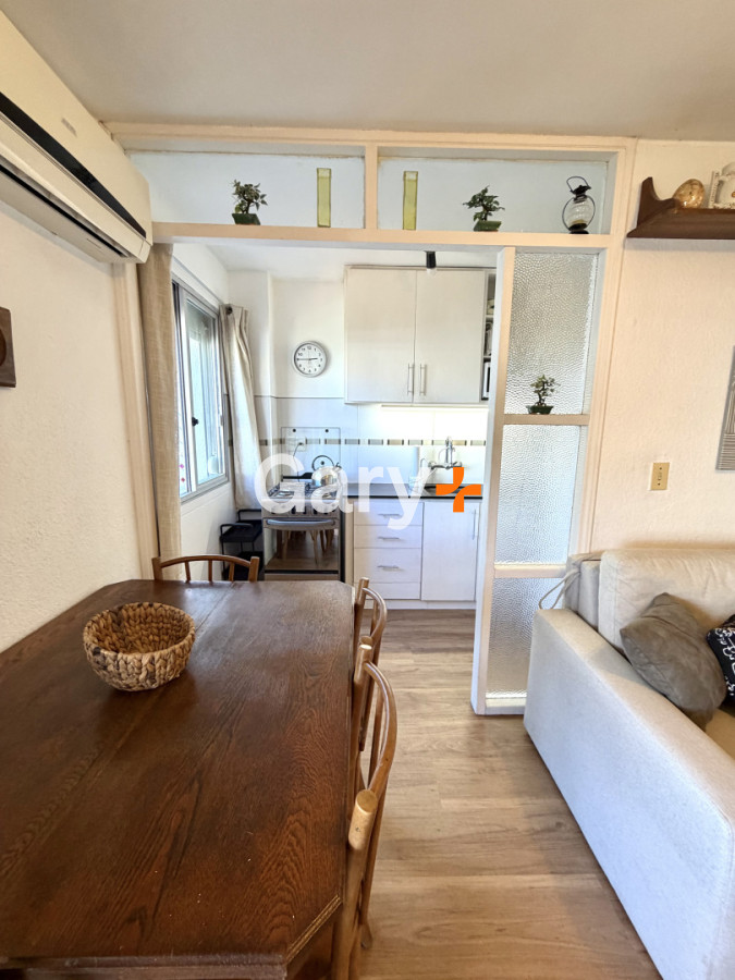 Apartamento ID.29379 - Un dormitorio en venta con gran terraza en Peninsula. 