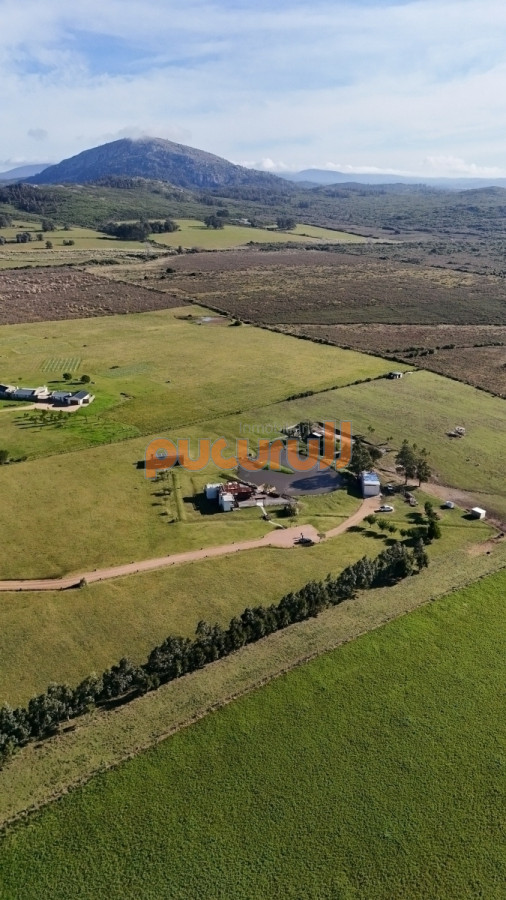 Chacra ID.1960 - Chacra en venta, 5 has. en  Cerro del Torro. Piriápolis. Permuta por apto en Montevideo o Punta del Este.