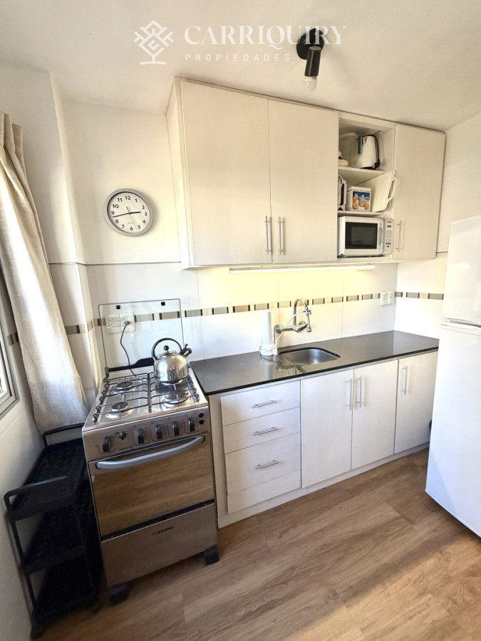 Apartamento ID.10000 - Un dormitorio en venta con gran terraza en Peninsula. 