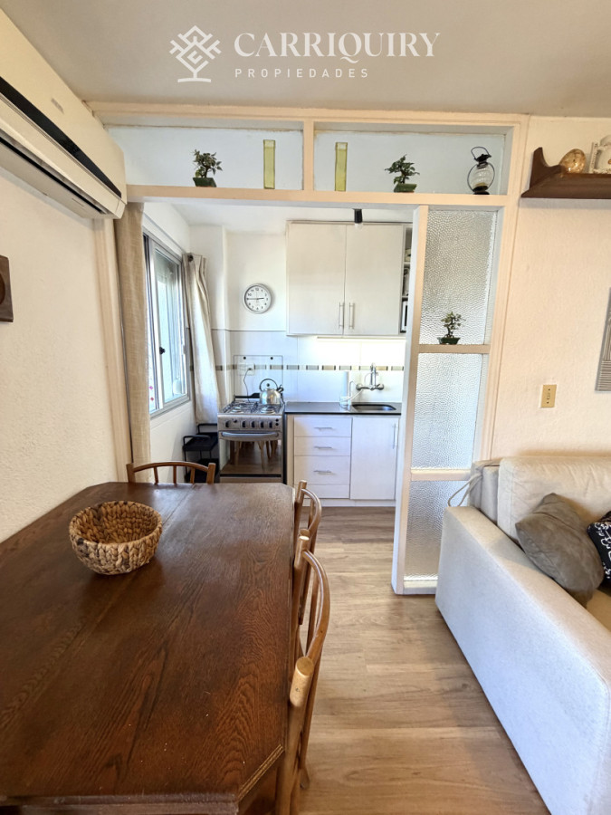 Apartamento ID.10000 - Un dormitorio en venta con gran terraza en Peninsula. 