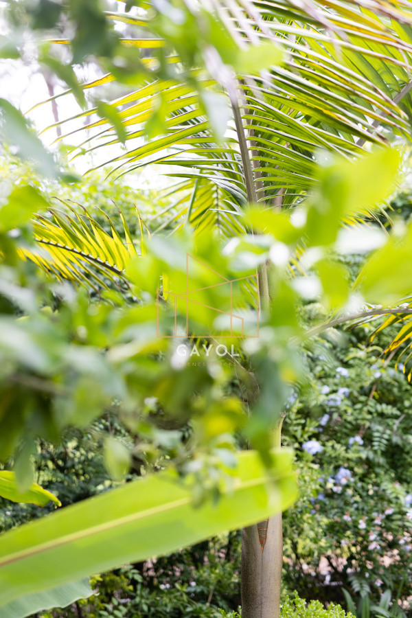 Casa ID.620 - Casa en venta en Punta del Este de 3 dormitorios. 