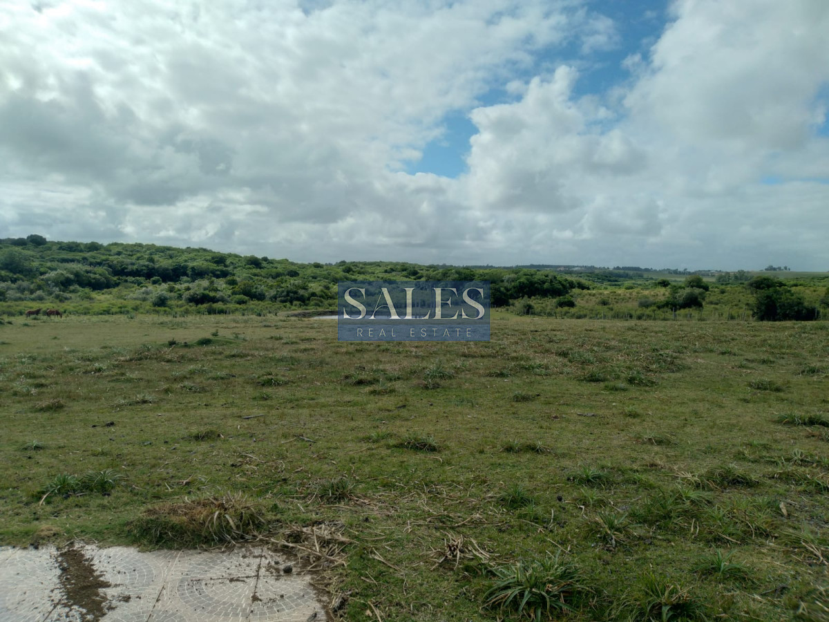 Chacra ID.1301 - Chacra de 8 has. en venta Pan de Azúcar. Maldonado.