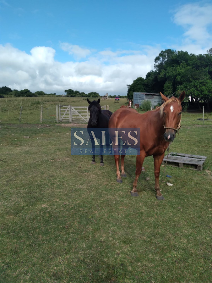 Chacra ID.1301 - Chacra de 8 has. en venta Pan de Azúcar. Maldonado.