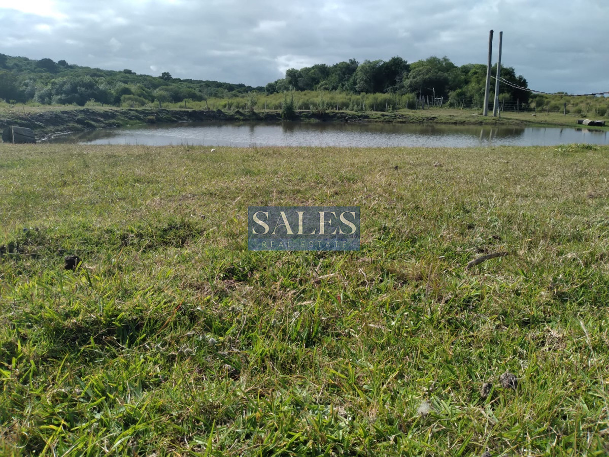 Chacra ID.1301 - Chacra de 8 has. en venta Pan de Azúcar. Maldonado.