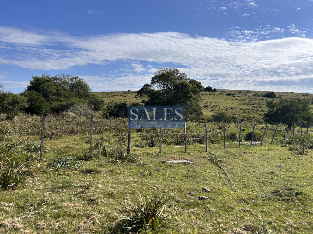 Chacra ID.1300 - Chacra en RUTA 39 -  