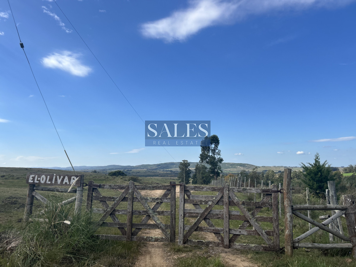 Chacra ID.1300 - Chacra en RUTA 39 -  
