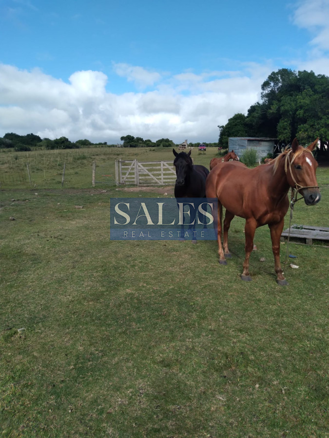 Chacra ID.1301 - Chacra de 8 has. en venta Pan de Azúcar. Maldonado.