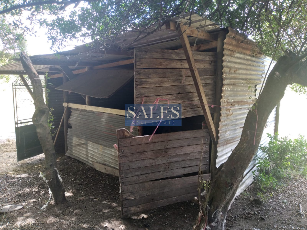 Chacra ID.1301 - Chacra de 8 has. en venta Pan de Azúcar. Maldonado.