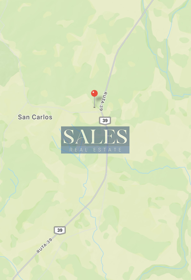 Chacra ID.1300 - Chacra en RUTA 39 -  