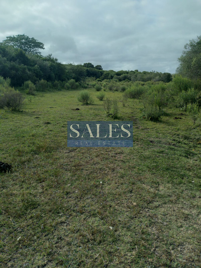 Chacra ID.1301 - Chacra de 8 has. en venta Pan de Azúcar. Maldonado.