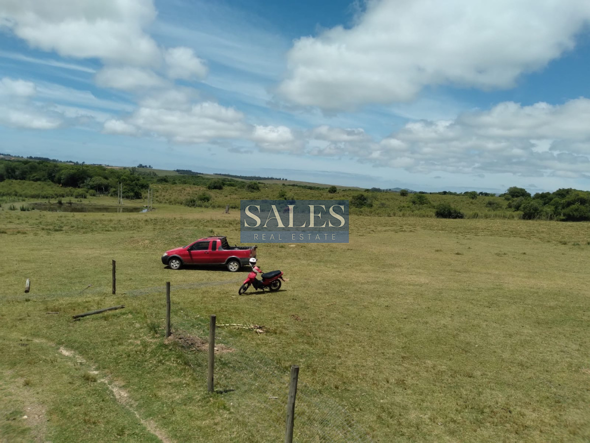 Chacra ID.1301 - Chacra de 8 has. en venta Pan de Azúcar. Maldonado.