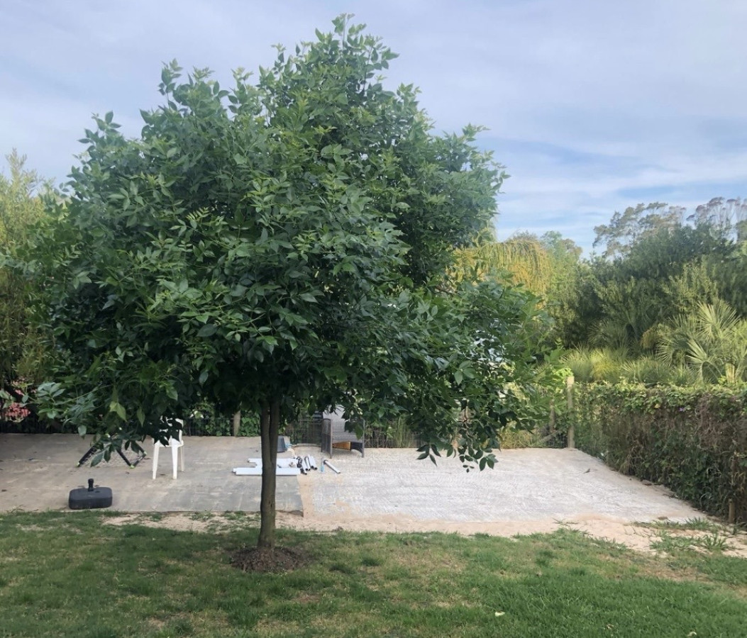 Casa ID.21098785 - Casa en venta de 2 dormitorios-La Bota - El Chorro