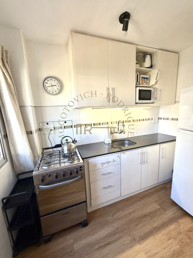 Apartamento ID.4420 - Un dormitorio en venta con gran terraza en Peninsula. 