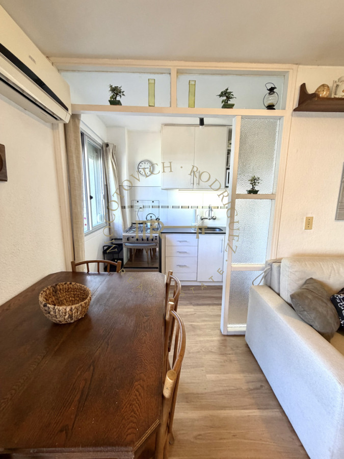 Apartamento ID.4420 - Un dormitorio en venta con gran terraza en Peninsula. 
