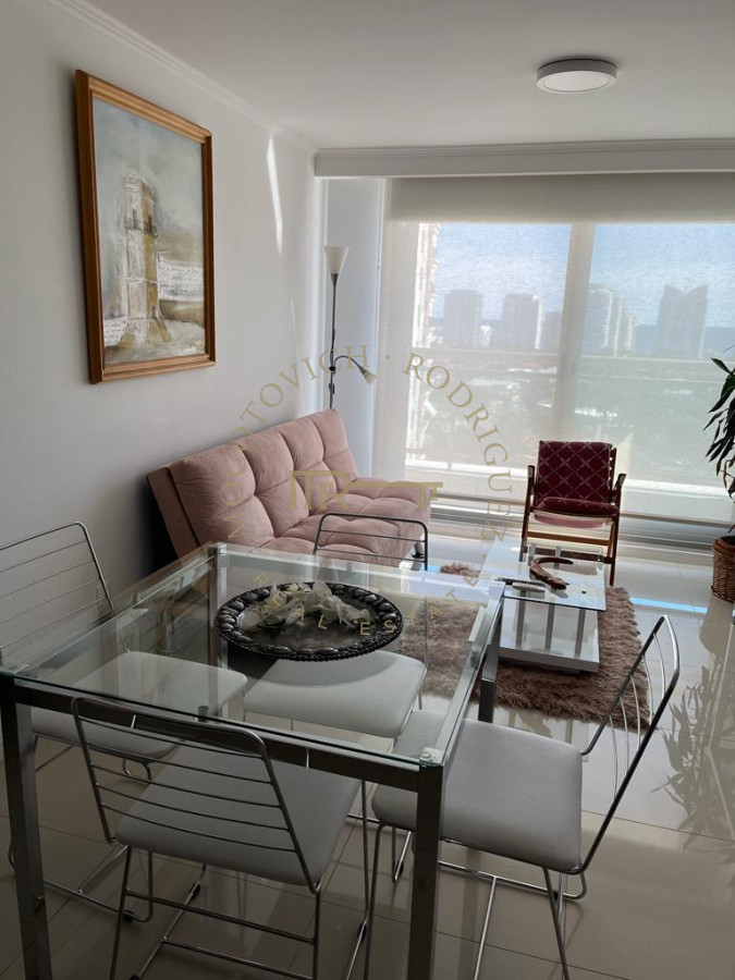 Apartamento ID.2422 - Place Lafayette 1 dormitorio en alquiler de verano. Punta del Este