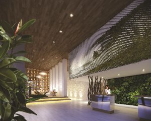 Departamento - Playa Brava