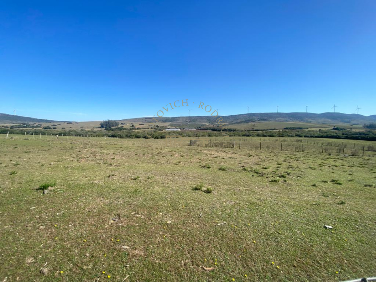 Chacra ID.2032 - chacra de 6 has 