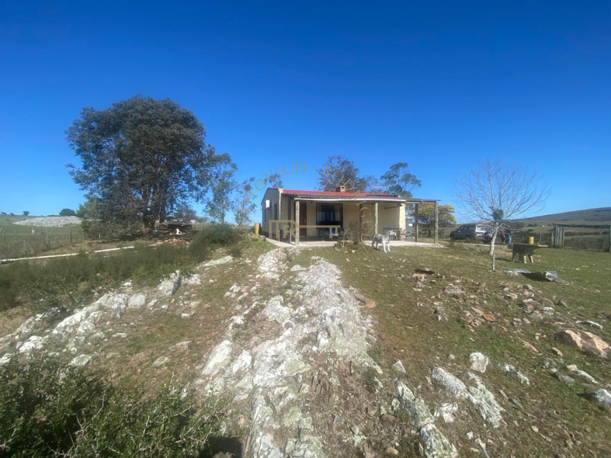 Chacra ID.2032 - chacra de 6 has 