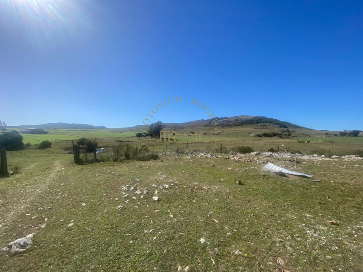 Chacra ID.2032 - chacra de 6 has 