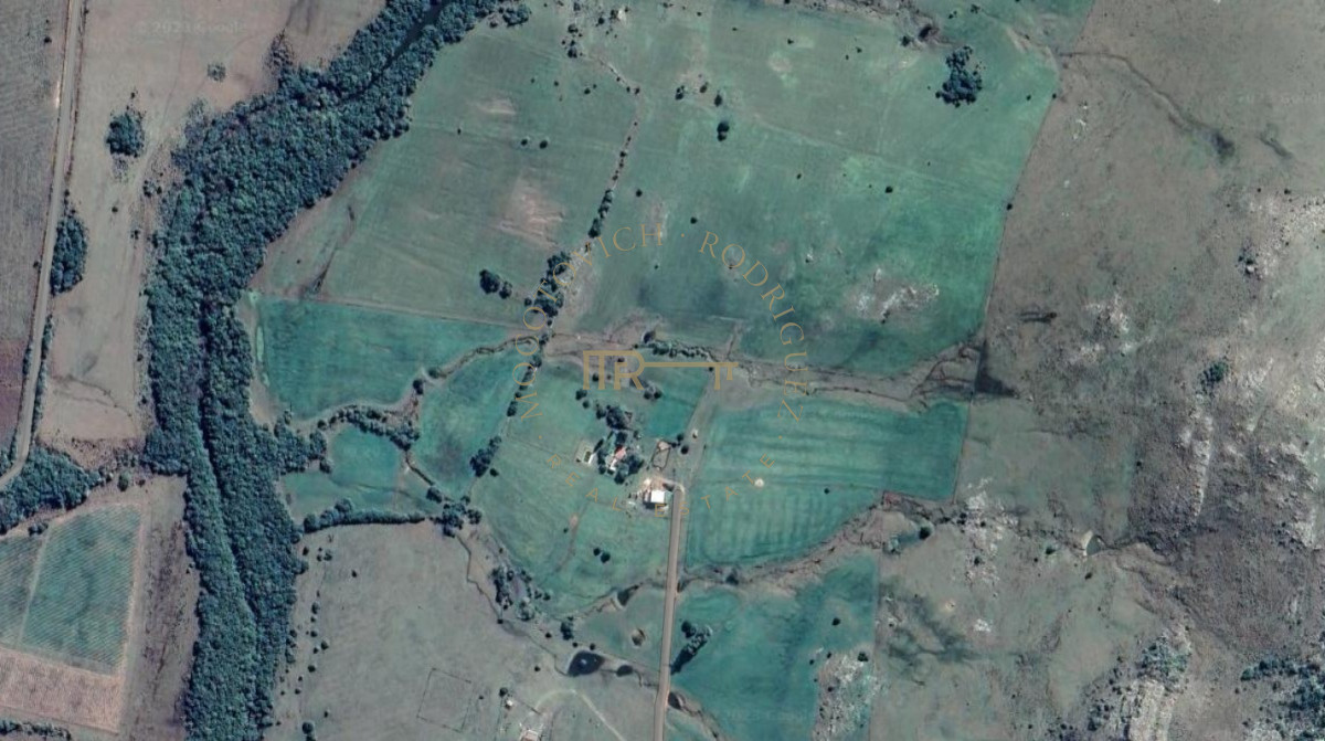 Chacra ID.2032 - chacra de 6 has 