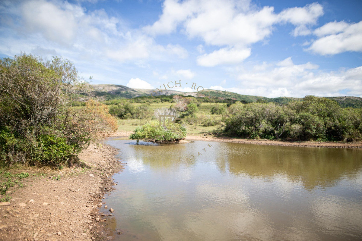 Chacra ID.2647 - Excelente campo  en Pan de Azucar 133 has