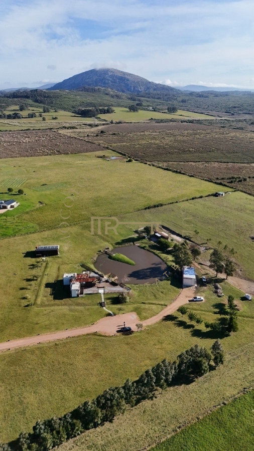 Chacra ID.2677 - Chacra en venta, 5 has. en  Cerro del Torro. Piriápolis. Permuta por apto en Montevideo o Punta del Este.