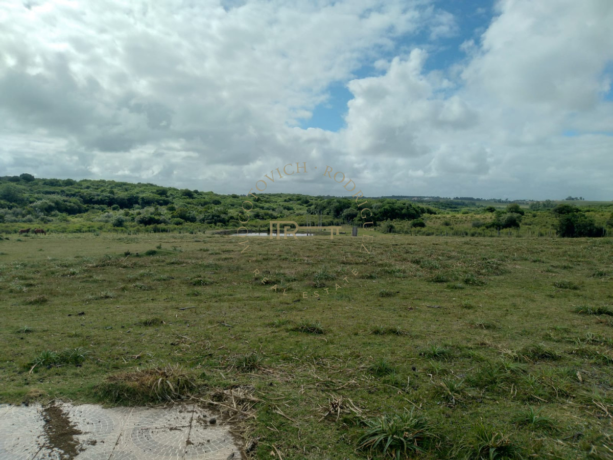 Chacra ID.3175 - Chacra de 8 has. en venta Pan de Azúcar. Maldonado.