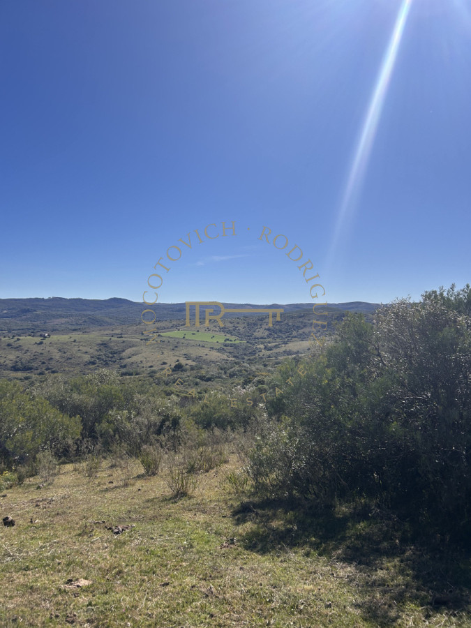 Chacra ID.3742 - Chacra en venta de 5 hás.  en  Sierra de los Caracoles. Maldonado