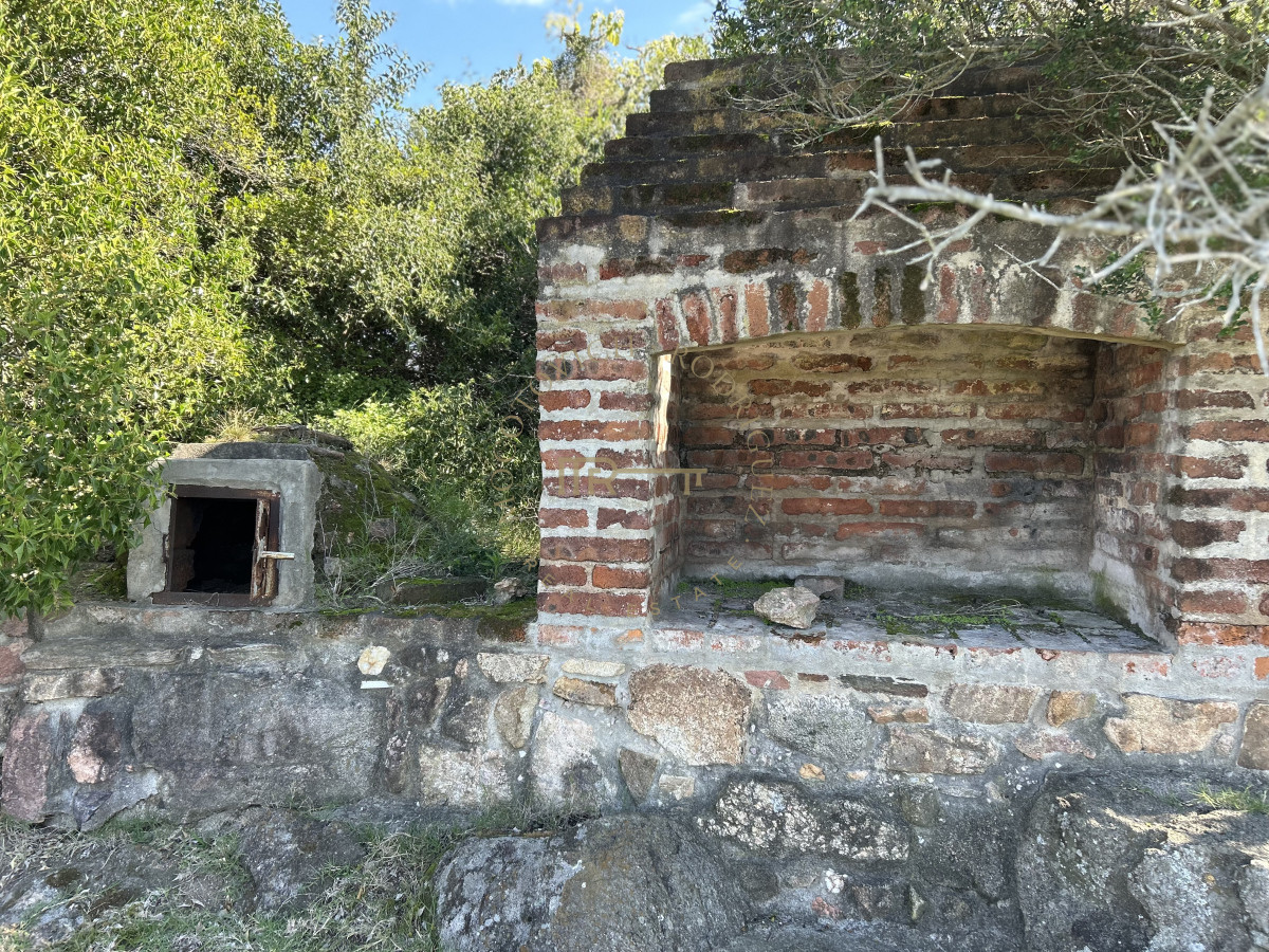 Chacra ID.3506 - Chacra en RUTA 39 -  