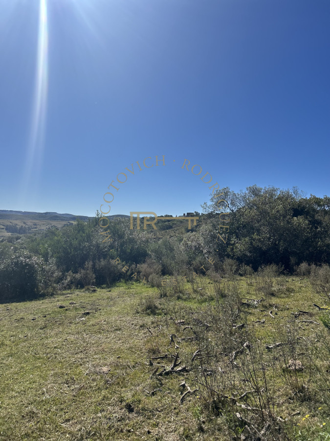 Chacra ID.3742 - Chacra en venta de 5 hás.  en  Sierra de los Caracoles. Maldonado