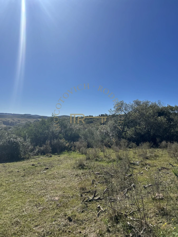 Chacra ID.3742 - Chacra Sierra de los Caracoles