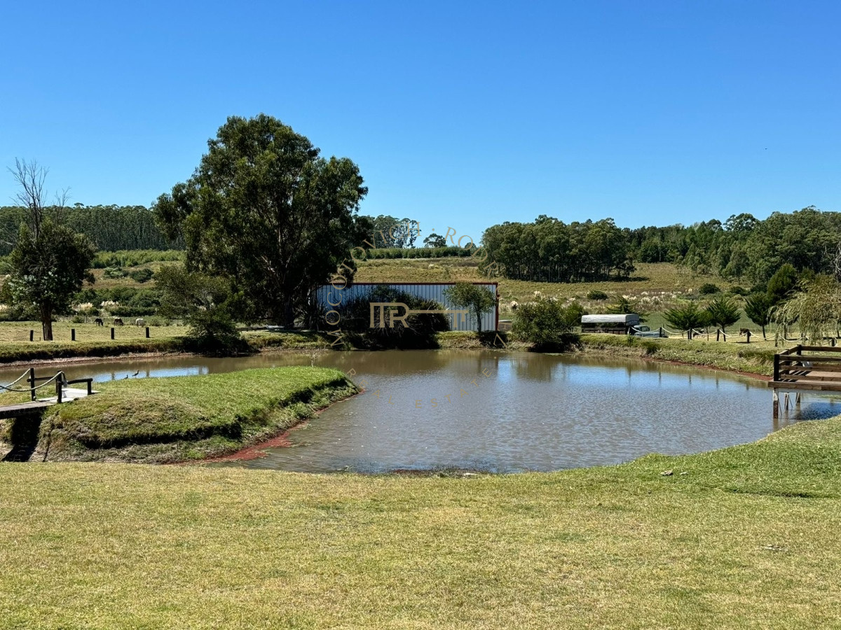 Chacra ID.2677 - Chacra en venta, 5 has. en  Cerro del Torro. Piriápolis. Permuta por apto en Montevideo o Punta del Este.