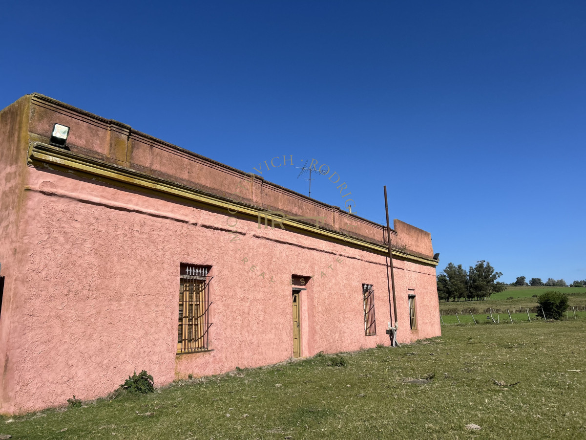 Chacra ID.3506 - Chacra en RUTA 39 -  