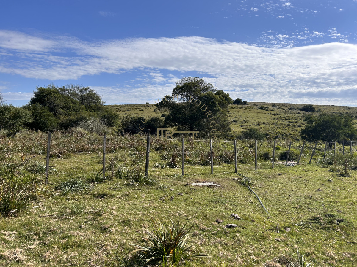 Chacra ID.3506 - Chacra en RUTA 39 -  