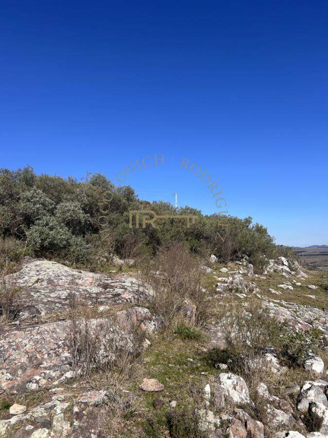 Chacra ID.3742 - Chacra en venta de 5 hás.  en  Sierra de los Caracoles. Maldonado