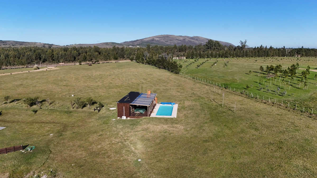 Chacra ID.2677 - Chacra en venta, 5 has. en  Cerro del Torro. Piriápolis. Permuta por apto en Montevideo o Punta del Este.