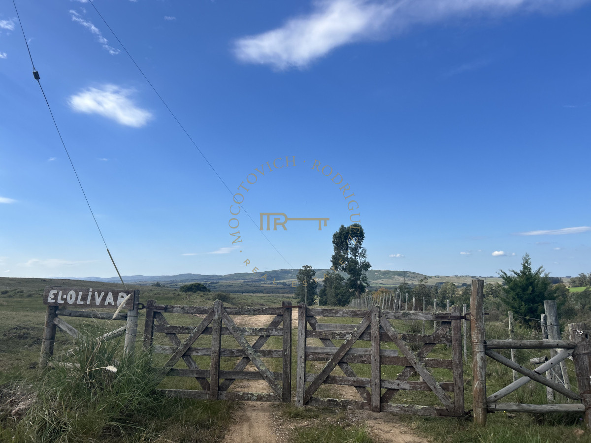 Chacra ID.3506 - Chacra en RUTA 39 -  