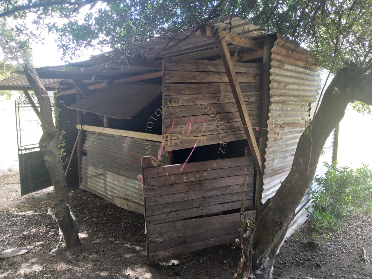 Chacra ID.3175 - Chacra de 8 has. en venta Pan de Azúcar. Maldonado.