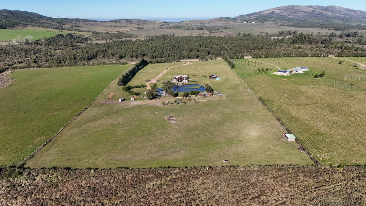 Chacra ID.2677 - Chacra en venta, 5 has. en  Cerro del Torro. Piriápolis. Permuta por apto en Montevideo o Punta del Este.